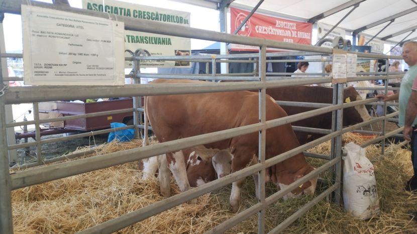  - 40- Expozitie Agromalim Arad 12-14 09 2025