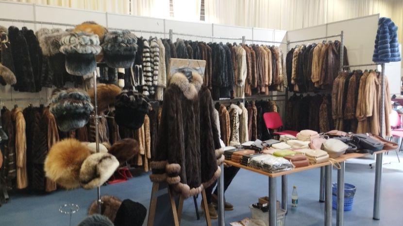  - 40- Expozitie Agromalim Arad 12-14 09 2025