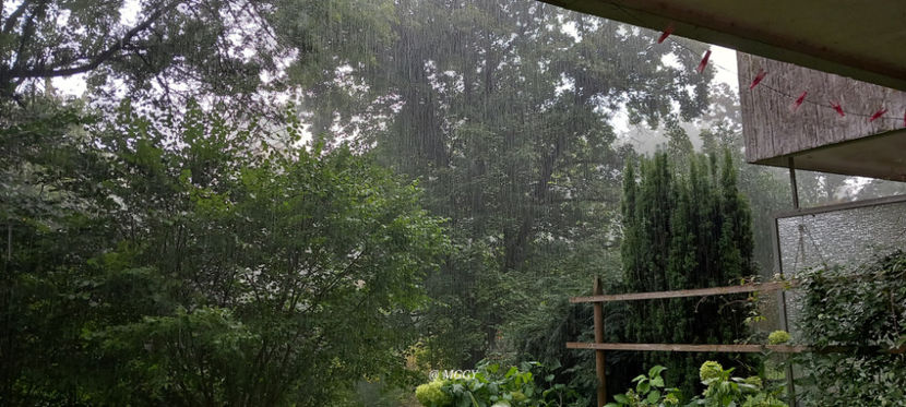  - 2025 - 03 - Toamna