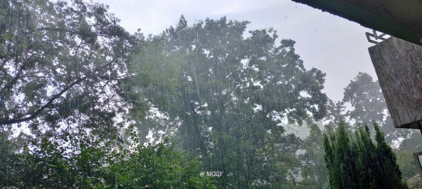 Toamna in toata regula. - 2025 - 03 - Toamna