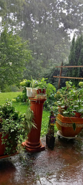 Zilnic cu rupere de nori. - 2025 - 03 - Toamna