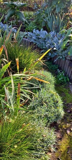  - 2025 - 03 - Toamna