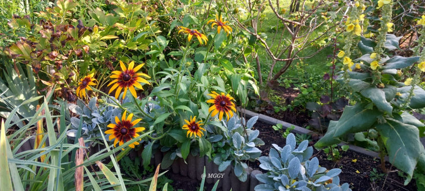  - 2025 - 03 - Toamna