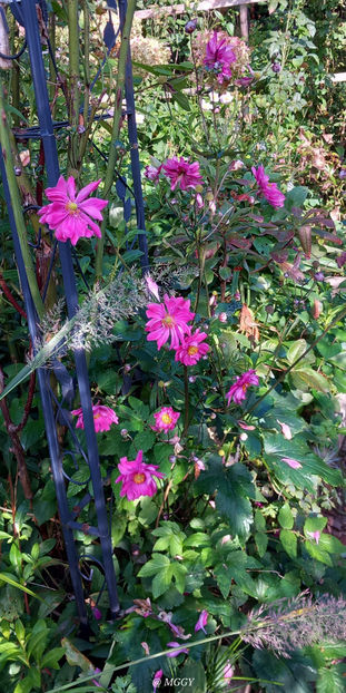  - 2025 - 03 - Toamna