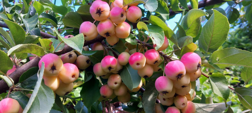  - 2025 - 03 - Toamna