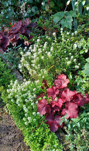  - 2025 - 03 - Toamna