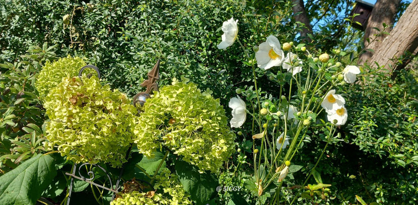  - 2025 - 03 - Toamna