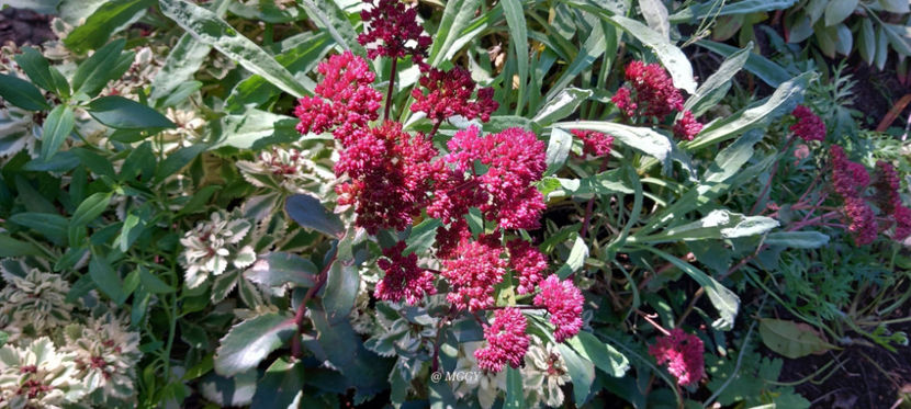  - 2025 - 03 - Toamna