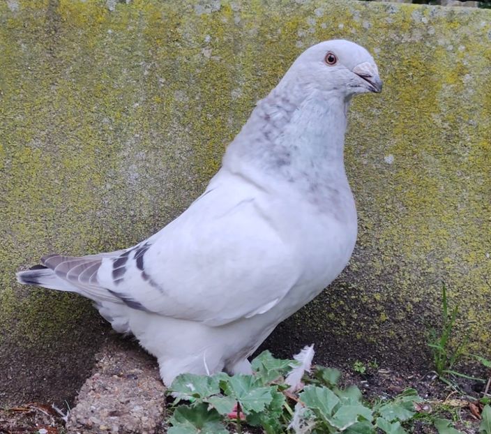 23(M) Archiwum - c- MLODE 2025 YOUTH