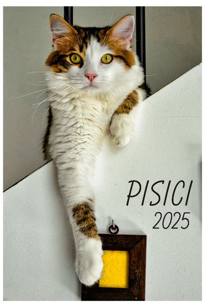 calendar-perete-2025-330x487-Pisici_Page_01 - Calendar 2025