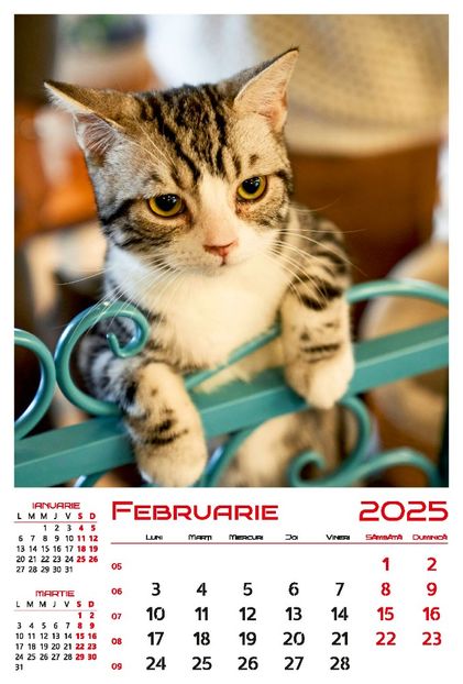calendar-perete-2025-330x487-Pisici_Page_03 - Calendar 2025