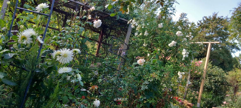  - 2025 - 03 - Toamna