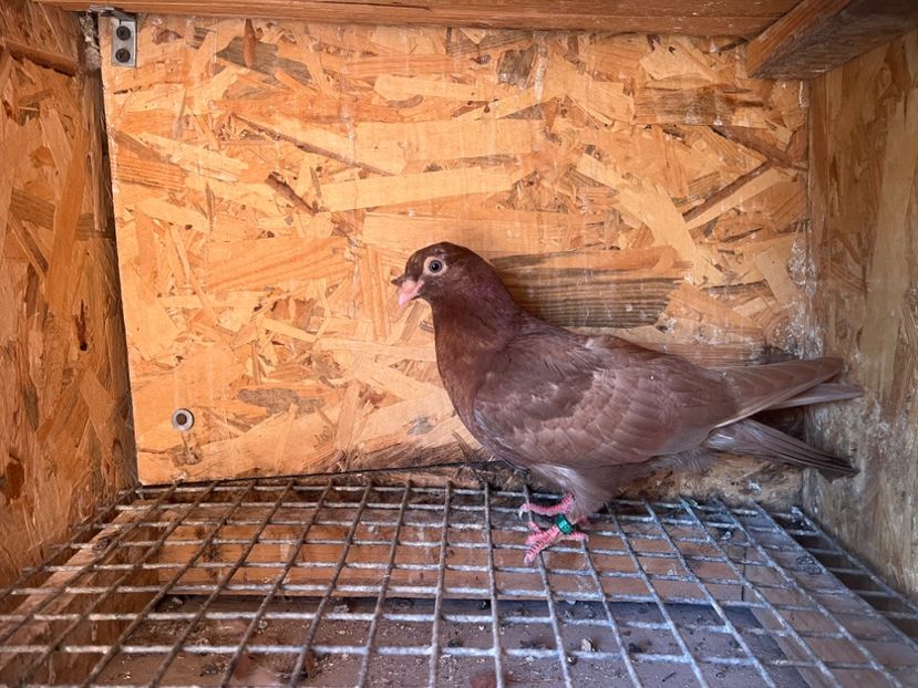 186325 - 8-lot zbor 2025