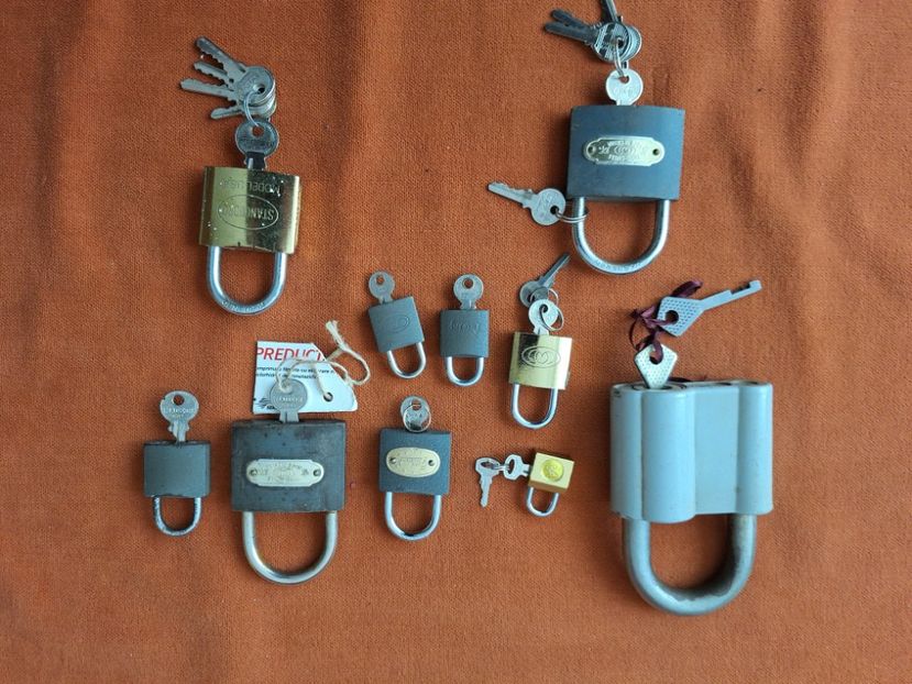 20250912_111343(0) - Lacate 10 bc