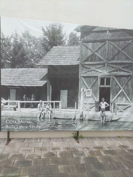 Imagine WhatsApp 2025-09-10 la 09.39.38_889b60e4 - 2025 Ocna Mureș 10 SEPT