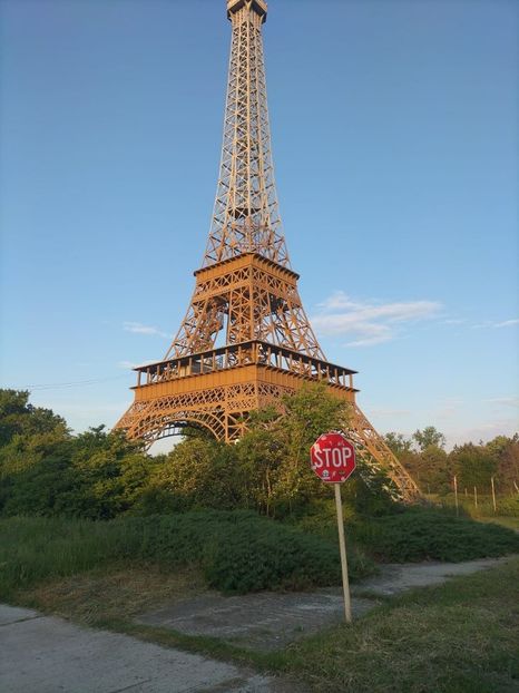 Imagine WhatsApp 2025-05-22 la 06.21.09_918a6120 - 2025 Delta Dunării 22 MAI