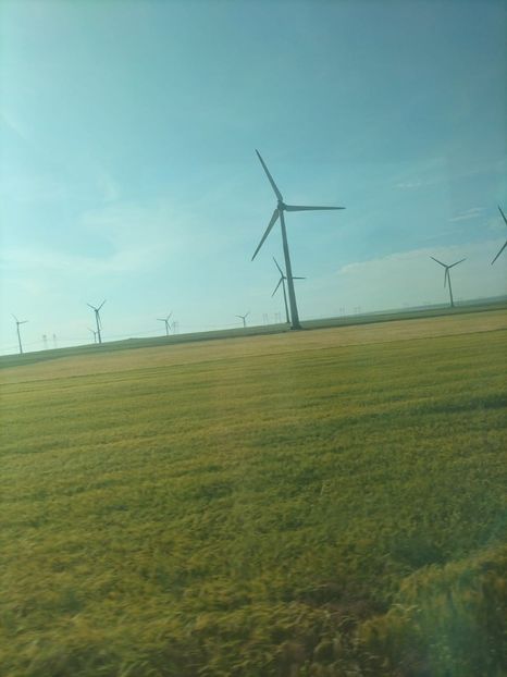 Imagine WhatsApp 2025-05-22 la 08.33.59_f4ed4578 - 2025 Delta Dunării 22 MAI