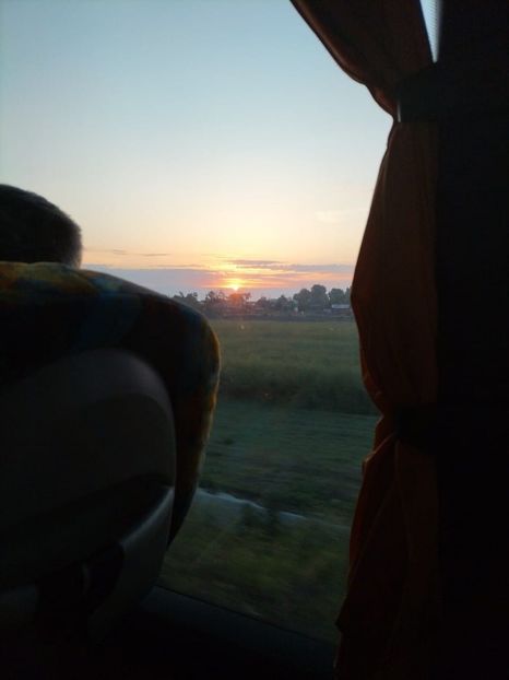 Imagine WhatsApp 2025-05-22 la 13.27.17_dc48c401 - 2025 Delta Dunării 22 MAI