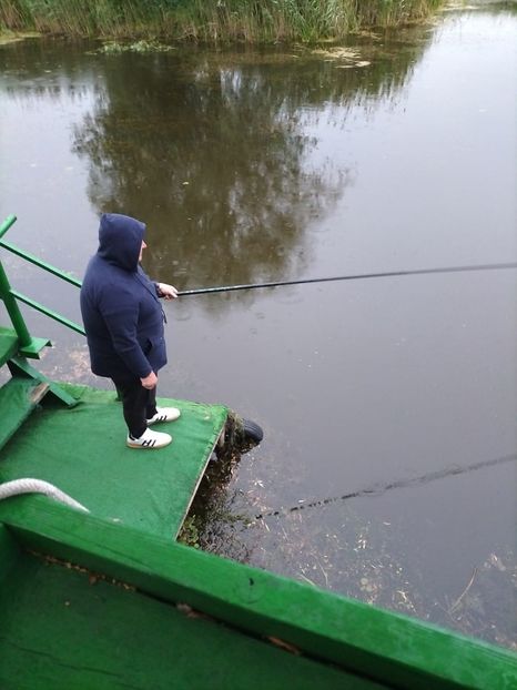 Imagine WhatsApp 2025-05-22 la 20.11.59_efc6b6b1 - 2025 Delta Dunării 22 MAI