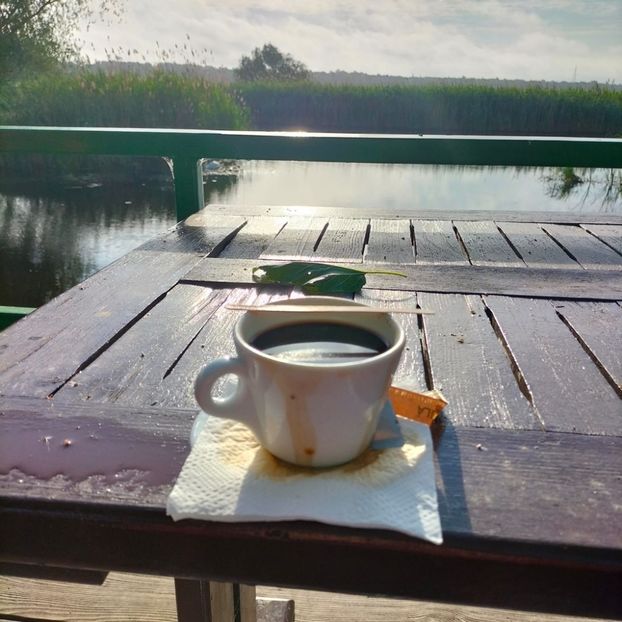 Imagine WhatsApp 2025-05-23 la 09.41.37_84117dd7 - 2025 Delta Dunării 22 MAI