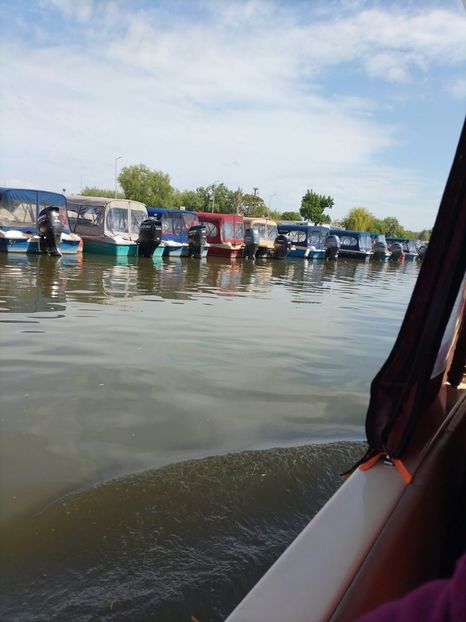 Imagine WhatsApp 2025-05-23 la 10.28.33_3ef81b23 - 2025 Delta Dunării 22 MAI