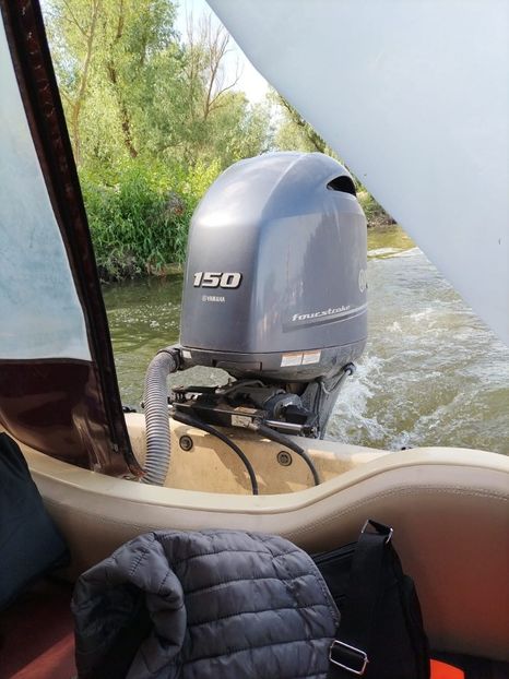 Imagine WhatsApp 2025-05-23 la 10.28.33_8a4b4615 - 2025 Delta Dunării 22 MAI