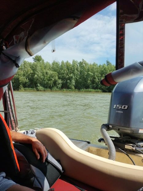 Imagine WhatsApp 2025-05-23 la 11.14.43_0bc22f72 - 2025 Delta Dunării 22 MAI