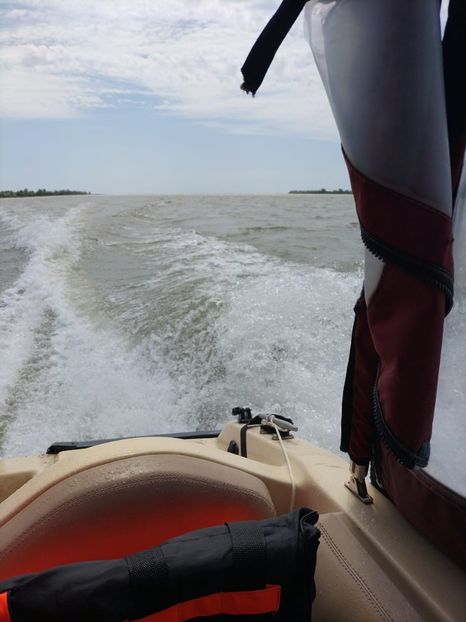 Imagine WhatsApp 2025-05-23 la 11.35.28_49a68c2a - 2025 Delta Dunării 22 MAI