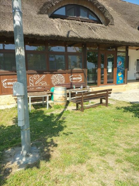 Imagine WhatsApp 2025-05-23 la 15.24.33_6b528775 - 2025 Delta Dunării 22 MAI