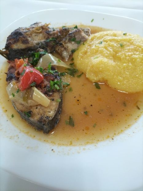 Imagine WhatsApp 2025-05-23 la 20.03.52_6b42a742 - 2025 Delta Dunării 22 MAI