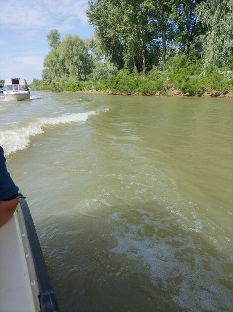 Imagine WhatsApp 2025-05-24 la 10.05.51_be2bd520 - 2025 Delta Dunării 22 MAI