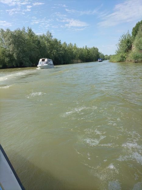 Imagine WhatsApp 2025-05-24 la 10.06.40_afbffdce - 2025 Delta Dunării 22 MAI