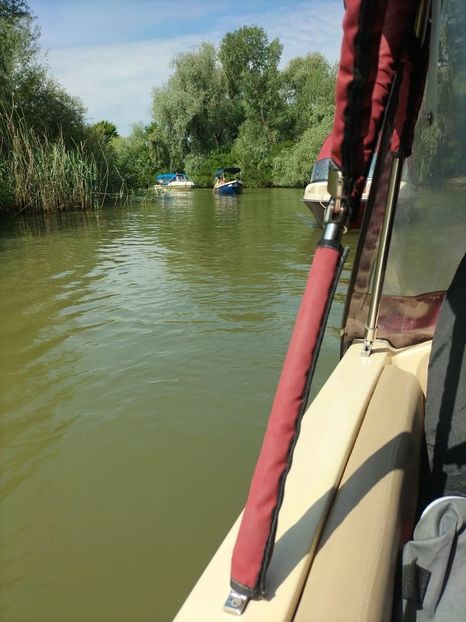 Imagine WhatsApp 2025-05-24 la 10.37.56_93830830 - 2025 Delta Dunării 22 MAI