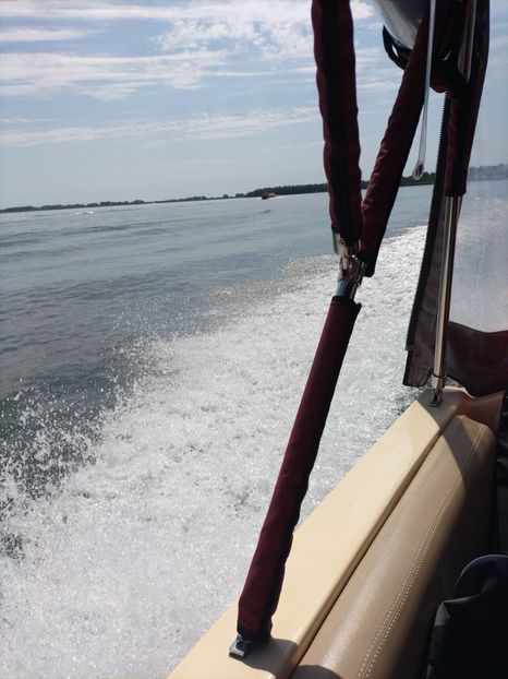 Imagine WhatsApp 2025-05-24 la 10.39.19_b63e24b3 - 2025 Delta Dunării 22 MAI