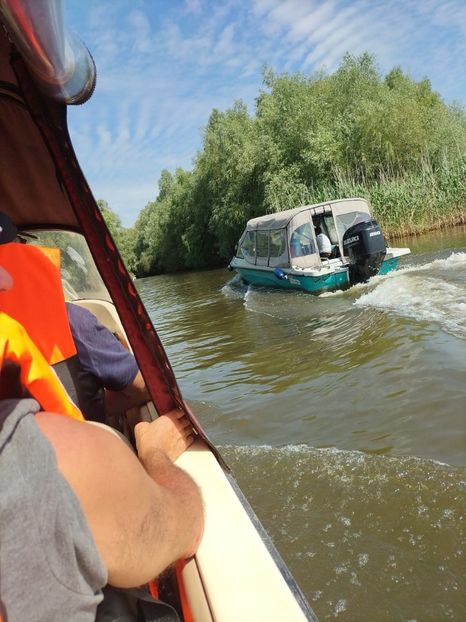 Imagine WhatsApp 2025-05-24 la 10.41.39_6344bb43 - 2025 Delta Dunării 22 MAI