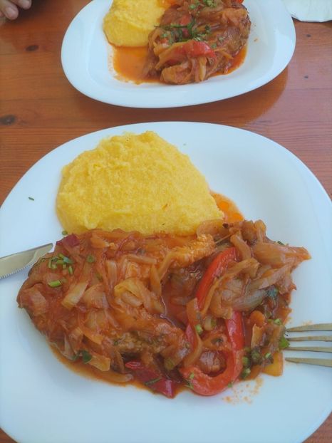 Imagine WhatsApp 2025-05-24 la 13.45.38_dd88e957 - 2025 Delta Dunării 22 MAI