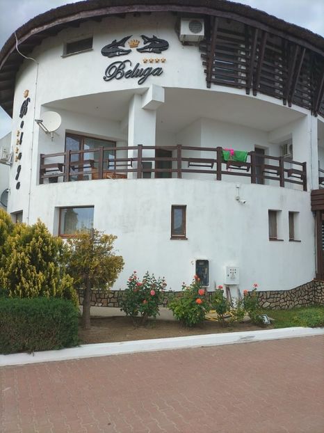 Imagine WhatsApp 2025-05-24 la 17.38.46_60b1fdd6 - 2025 Delta Dunării 22 MAI