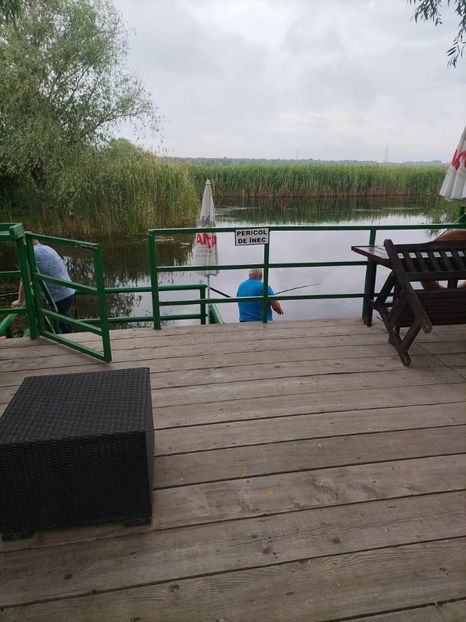 Imagine WhatsApp 2025-05-25 la 08.57.03_63f8a692 - 2025 Delta Dunării 22 MAI