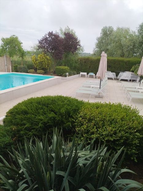 Imagine WhatsApp 2025-05-25 la 08.57.26_9c23f88b - 2025 Delta Dunării 22 MAI