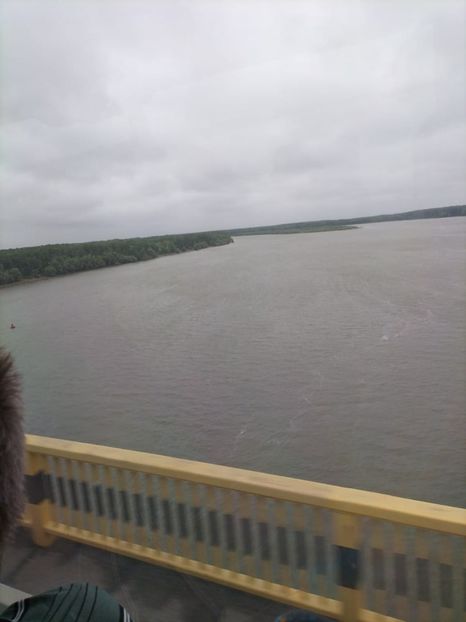 Imagine WhatsApp 2025-05-25 la 12.46.10_163606ca - 2025 Delta Dunării 22 MAI