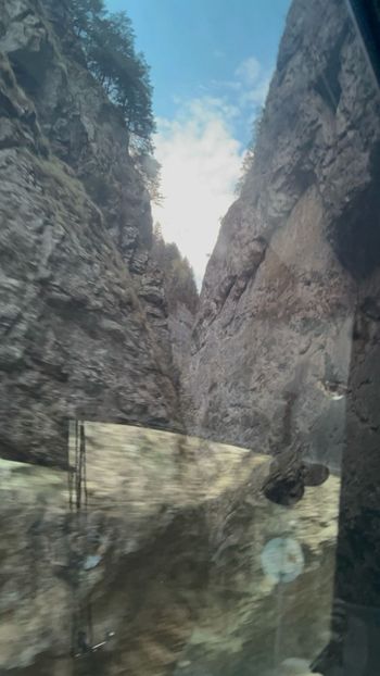 Imagine WhatsApp 2025-04-26 la 09.53.25_6efafceb - 2025 MarcThomas BUCOVINA 26 april