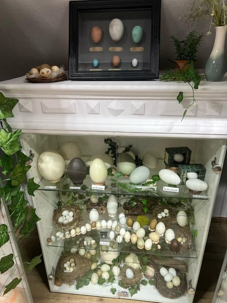 Imagine WhatsApp 2025-04-26 la 13.31.26_5dbb5528 - 2025 MarcThomas BUCOVINA 26 april