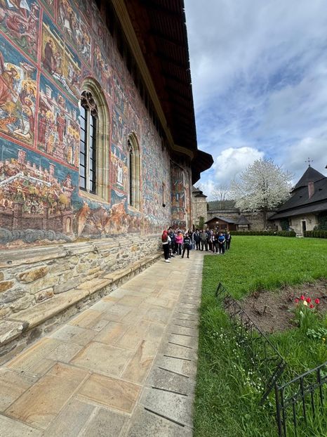 Imagine WhatsApp 2025-04-26 la 16.11.01_44c010fb - 2025 MarcThomas BUCOVINA 26 april