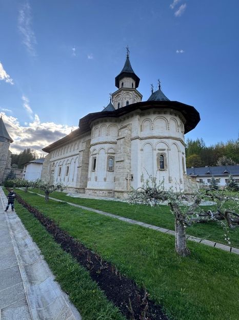 Imagine WhatsApp 2025-04-26 la 20.20.51_f6c2344c - 2025 MarcThomas BUCOVINA 26 april