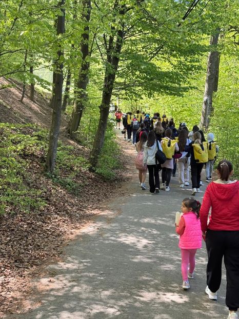 Imagine WhatsApp 2025-04-28 la 11.39.51_34b6050e - 2025 MarcThomas BUCOVINA 26 april