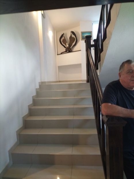 Imagine WhatsApp 2025-05-22 la 10.24.24_4f58812e - 2025 Delta Dunării 22 MAI