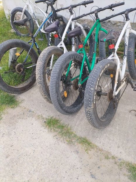 Imagine WhatsApp 2025-05-23 la 13.26.55_d4148534 - 2025 Delta Dunării 22 MAI