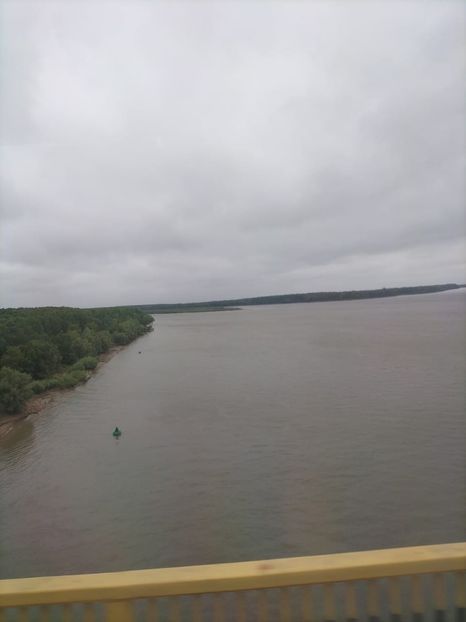 Imagine WhatsApp 2025-05-25 la 12.46.22_c18fc59d - 2025 Delta Dunării 22 MAI