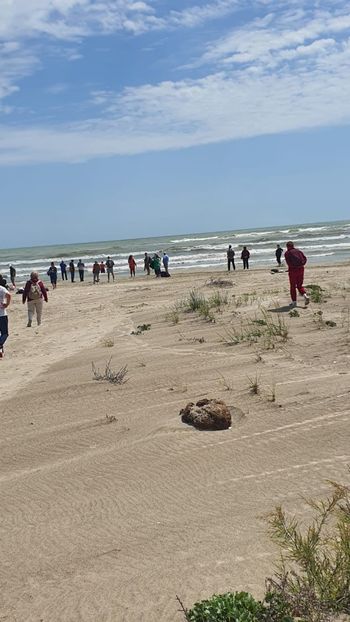 Imagine WhatsApp 2025-05-26 la 18.29.58_21dde244 - 2025 Delta Dunării 22 MAI