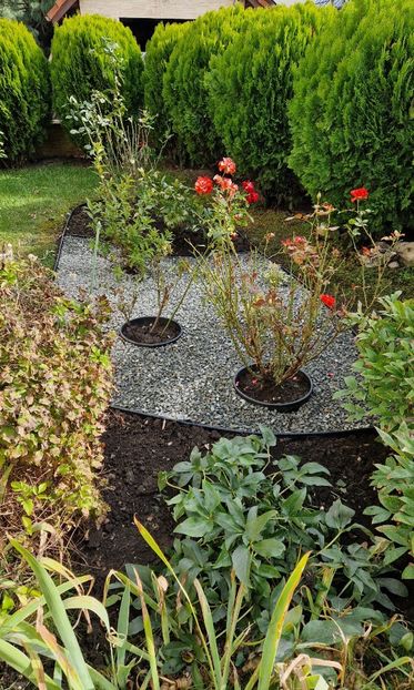 Aranjament refacut - 2025